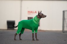 Warmkeeper Overall for Naked Men – Long and Warm