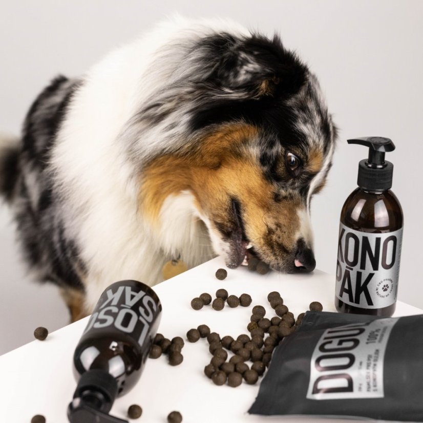 DOGULE | PAMLSOK PRE PSOV 200g