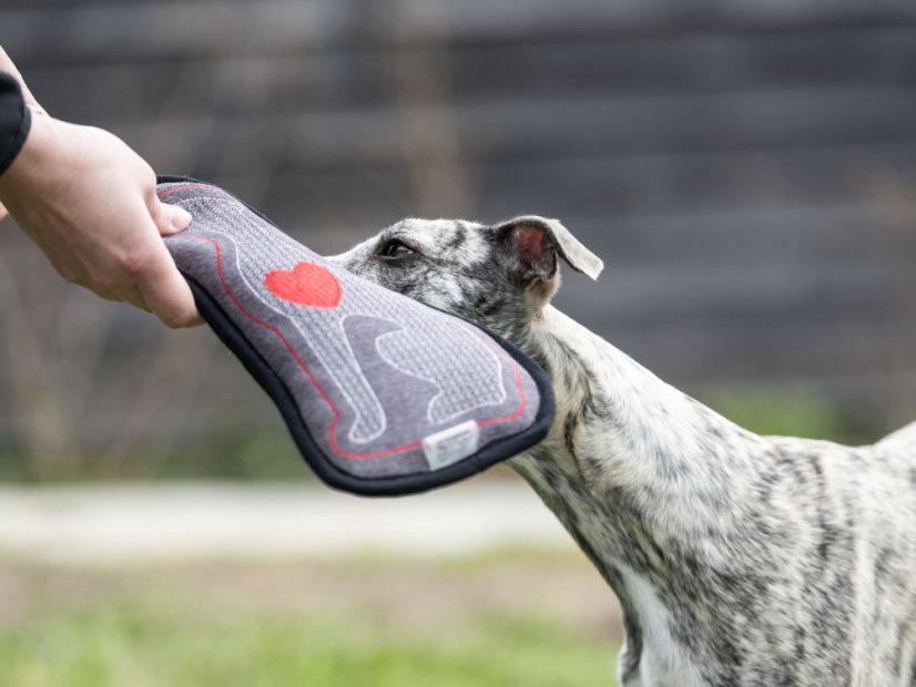 WHIPPET HEART – designová hračka pro psy