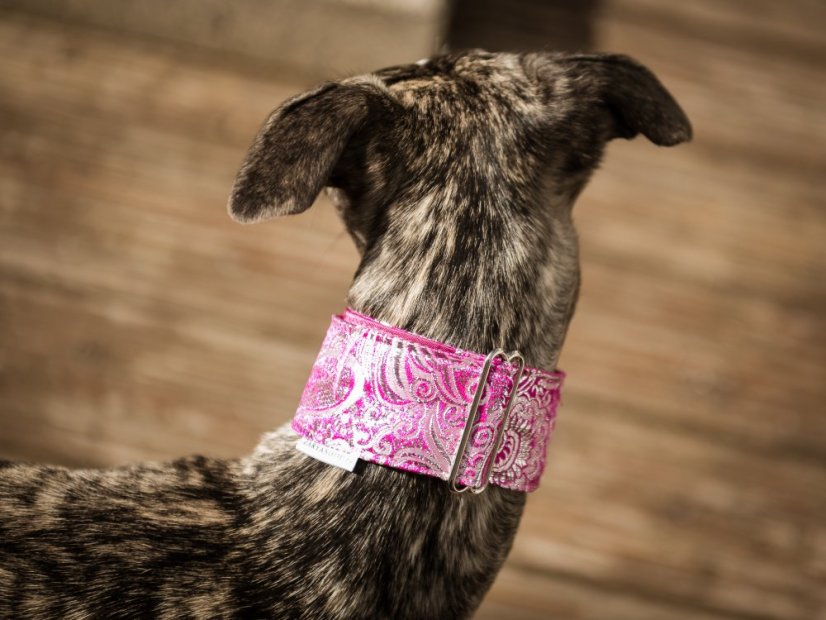 Brokátový luxusný obojok