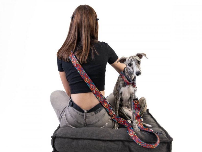 Sada INDY obojek s vodítkem 2m