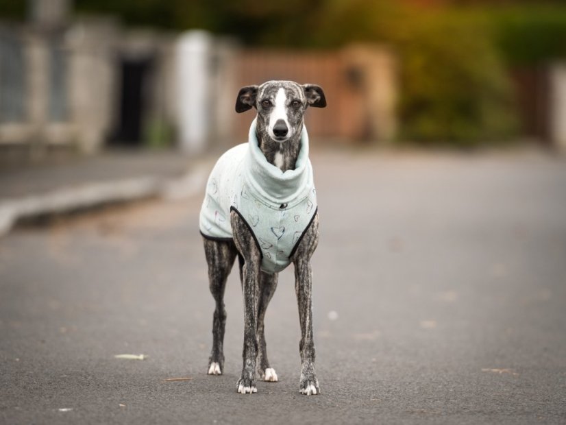 Warmkeeper Love Edition – duhová srdíčka