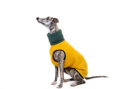 Polar Duo Fleece Mustard & Forest– hřejivá dvoubarevná mikina pro psy