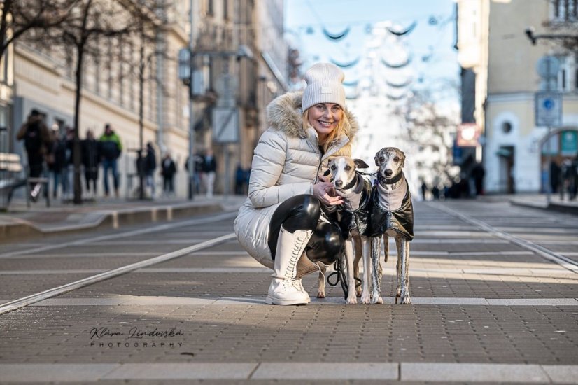 Elegantní sportovní bunda pro psa – odolná a hřejivá ochrana