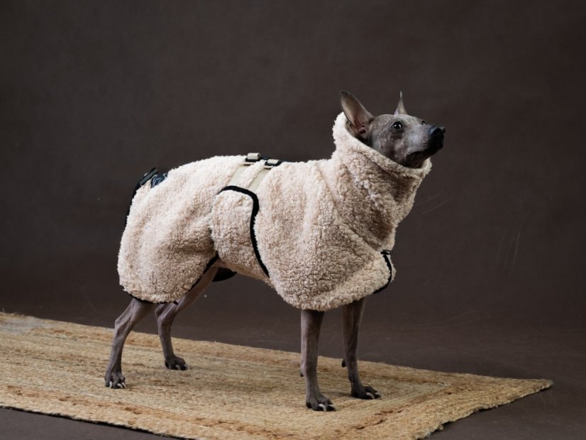 SHERPA TAIL-UP COAT – beránková bunda pro psy s ocáskem nahoru