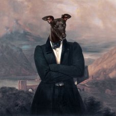 Cushion 50x50 cm greyhound motif