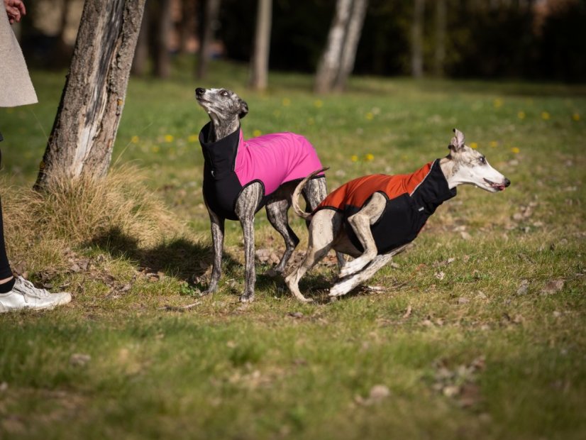 RAIN ARMOR FLEX HOODIE - softshellová mikina pro psy