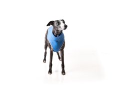 Blue – Funkční triko pro psy (Carvico®)