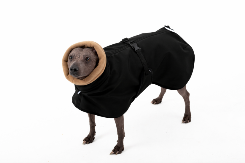 Arctic Tail Shell – zimní bunda pro psy s ocáskem nahoru