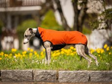 RAIN ARMOR FLEX HOODIE - softshellová mikina pro psy