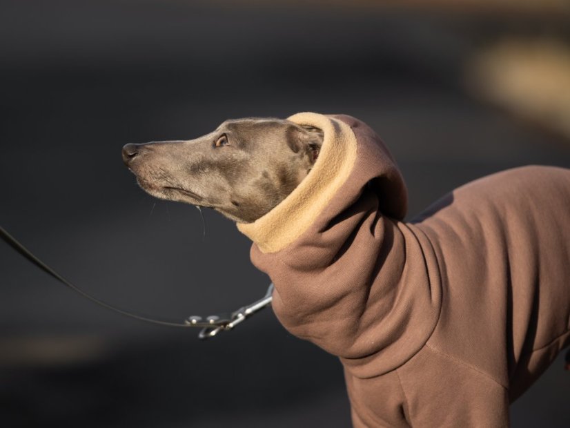 ComfyDog Overal s Kapucí