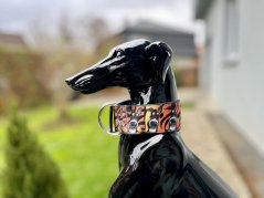 Obojek CRAZY 4cm