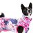 Basenji lehká mikina ROSE