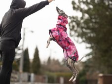 RainStopper Cordura Flamingo Shell – lightweight waterproof dog raincoat