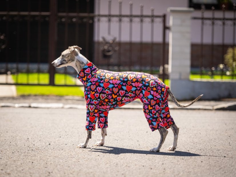 HEART ATTACK SUIT - overal pro psy