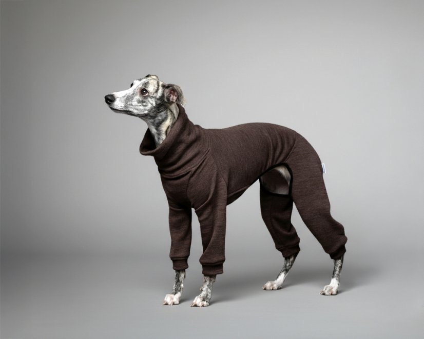 Merino overal pro psy – 100% MERINO | MUST HAVE 2026