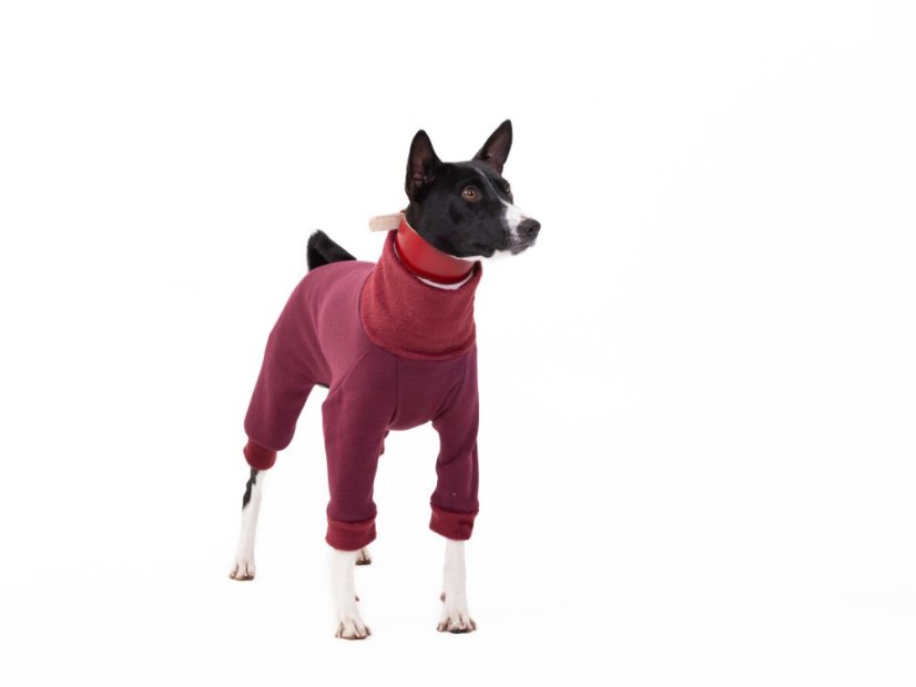 Basenji warmkeeper OVERAL