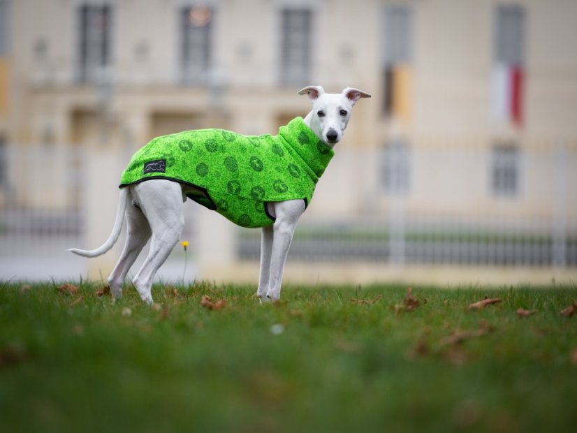 COLOR WINTER GLOW – hřejivý svetr pro psy