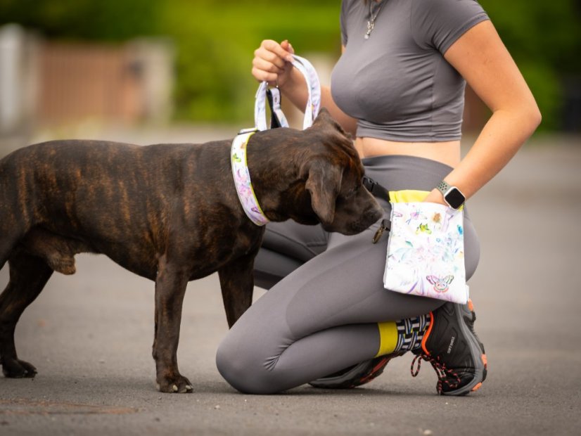 LIMITED EDITION – Waterproof Dog Collar & Leash Set with Reflective Strip