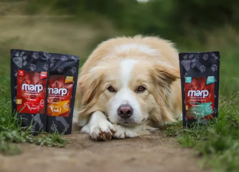 Marp vývar hovězí 230ml