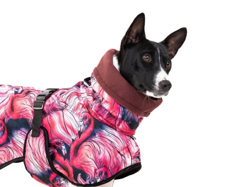 Africa Flamingo – nepromokavá bunda pro psy s ocáskem nahoru