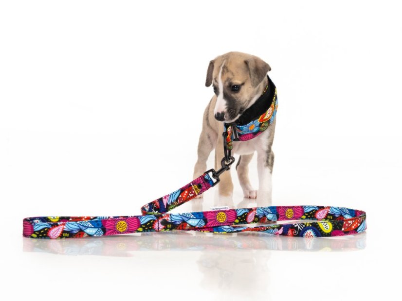 BLOOM COMFORT – designový polostahovací obojek pro psy