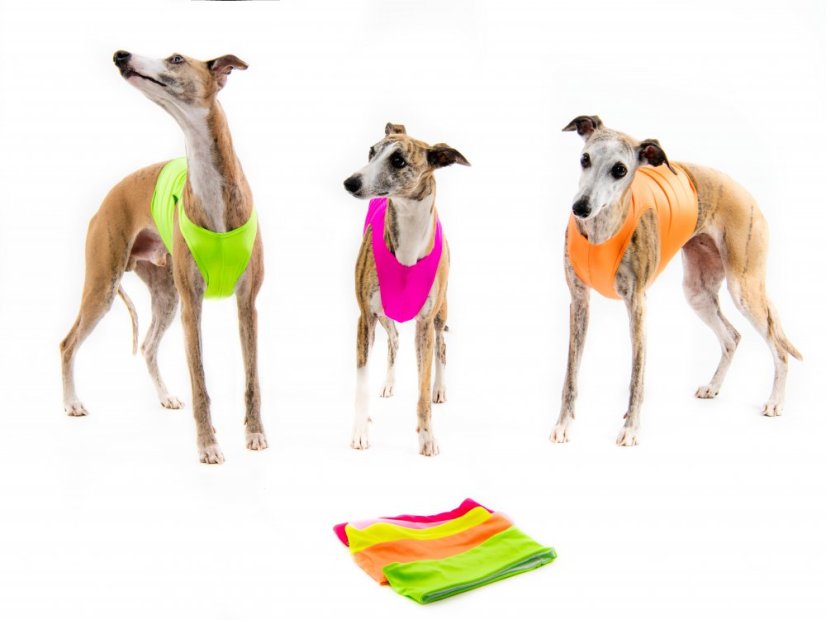 Tréningové tričko color jumper