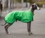 Lightweight blanket for dog athletes