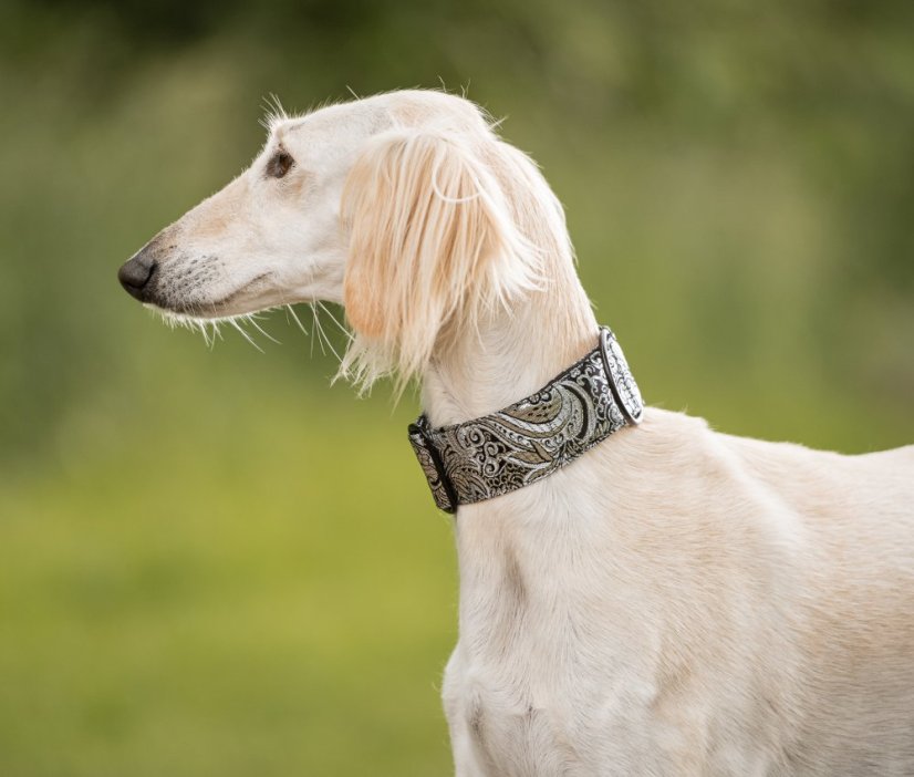 Brokátový luxusný obojok