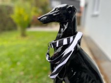Obojek s vodítkem ZEBRA
