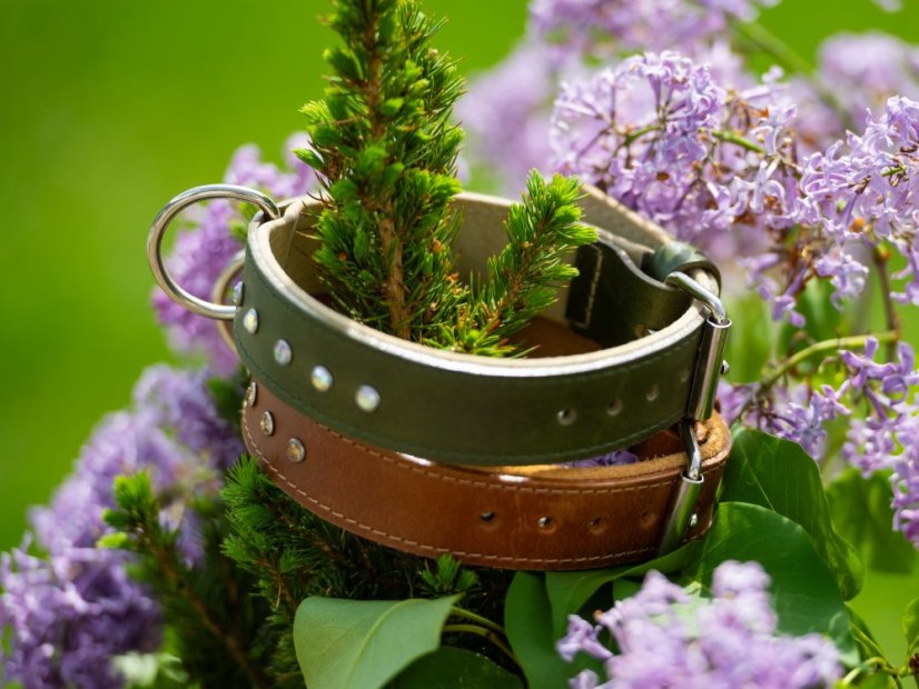 Obojek pro psy zdobený s kamínky kožený 40mm