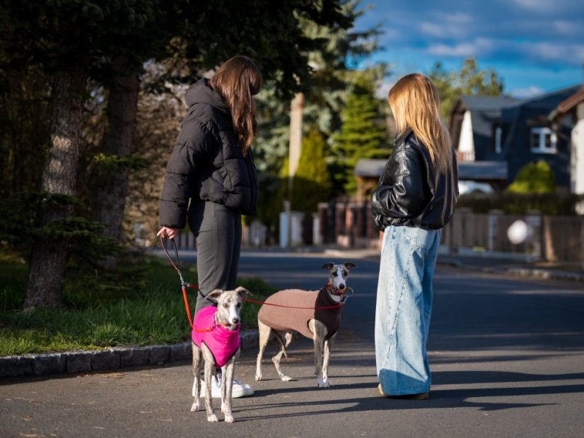 MAGIC DUO LEASH – multifunkční dvojvodítko pro psy