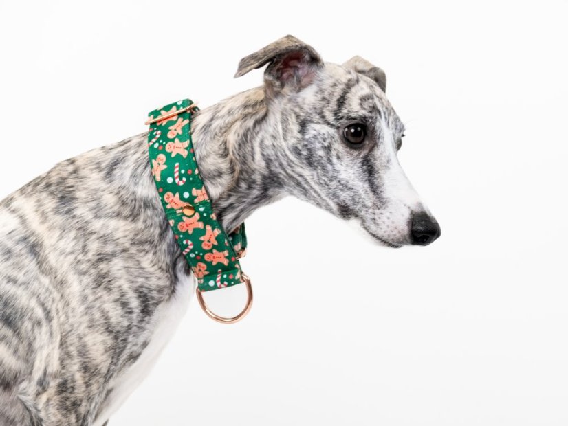 Vánoční obojek PERNÍČEK se šátkem