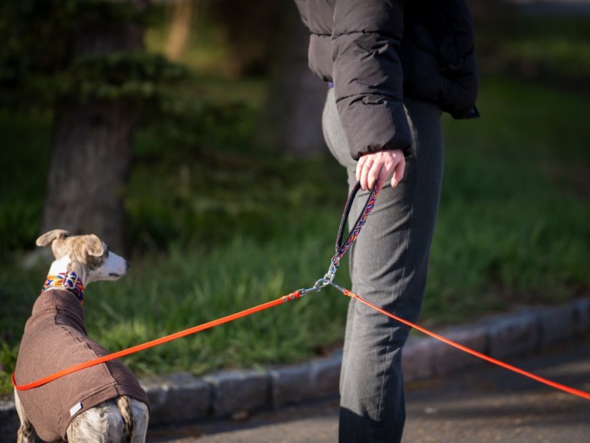 MAGIC DUO LEASH – multifunkční dvojvodítko pro psy