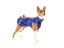Basenji light sweatshirt VIOLET
