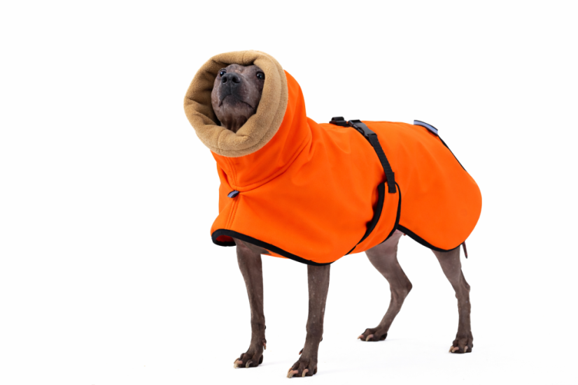 Arctic Tail Shell – zimní bunda pro psy s ocáskem nahoru