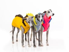 DRAGON CORE – Fleece Hoodie for Dogs