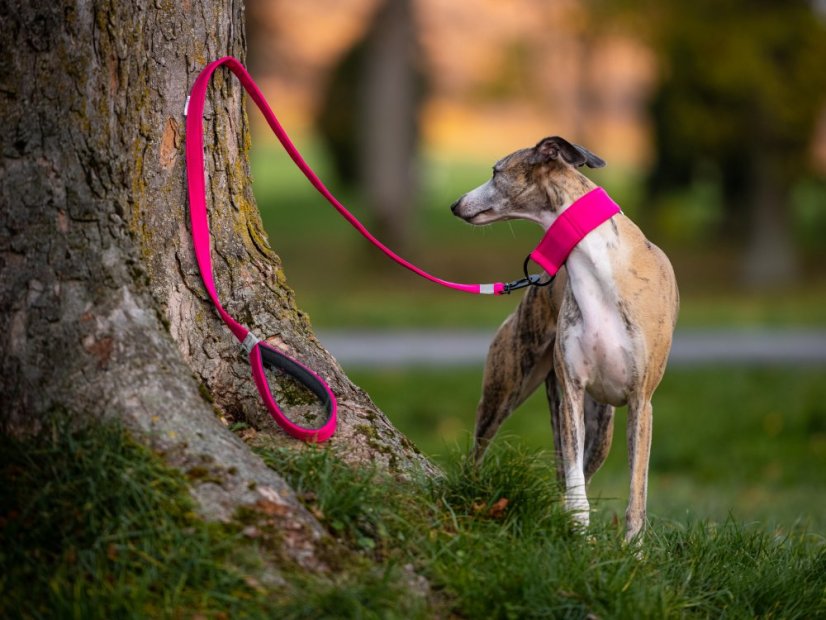 Soft set obojek s vodítkem