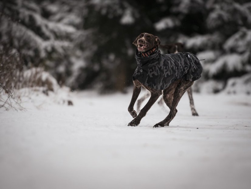 Termobunda - LUMI, vel. L1