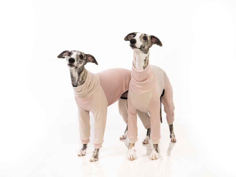 BambooCare Pyžámko ZARYA – bambusový overal pro psy pro dokonalou domácí pohodu