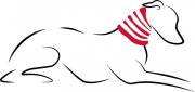 Aktuality  |  ZARYASHOP