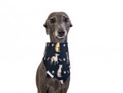 Dog scarf CODURA BLACK GREYHOUND
