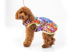 STREET ART TAIL-UP – Lightweight Hoodie for Dogs with a Curled-Up Tail