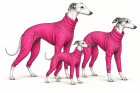 Overalls for Sighthounds