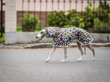Ultraľahká pláštenka pre psov – RAIN TO GO Leopard Pop