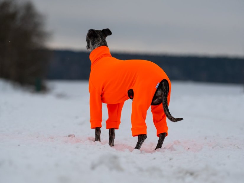 ZARYA ThermoFlex | sportovní funkční overal pro psy