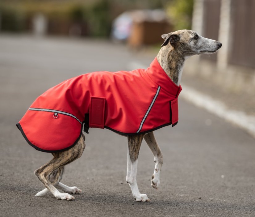 Lehký přehoz pro psí sportovce