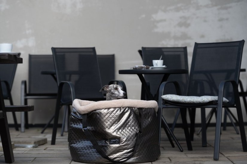 Cestovní taška pro psy – Chrom Edition