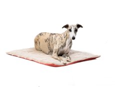 Prémiová deka pro psy - LUXURY PAW BLANKET