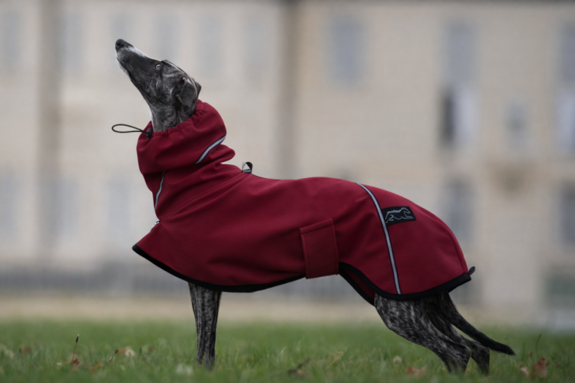 Pláštěnka softshell Outdoorlive